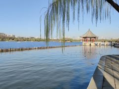 -济南大明湖景区
