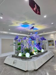 -美莱医疗美容医院