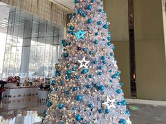 -李沧绿城喜来登酒店大堂吧