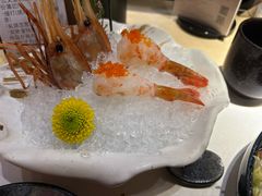 -乌君·酒场·炭火烧鸟(侨城坊店)