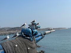 -大连老虎滩海洋公园
