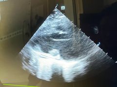 -喜多萌中农锦绣动物医院24H·猫科·牙科MRI·CT