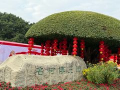 -南宁南湖公园