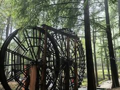 -波尔登森林公园