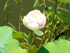 -庐山风景名胜区