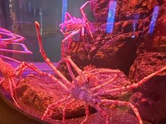 -暹罗海洋世界