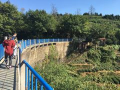 -磐安舞龙峡景区