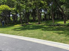 -渤公岛生态公园