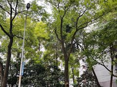 -面道赞宁海海鲜面(迎凤街店)