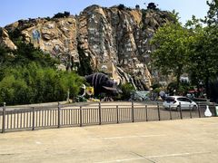 -西霞口神雕山野生动物世界