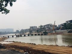 -小杨翘脚牛肉