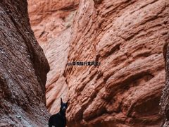 -天山神秘大峡谷