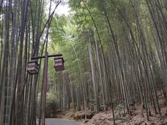 -苏州环秀晓筑养生度假村
