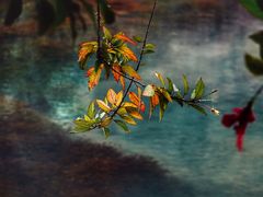 -靖西鹅泉风景区