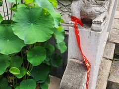 -卓刀泉寺