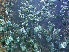 -海合安青岛极地海洋公园