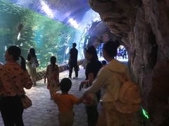 -华夏文旅海洋公园