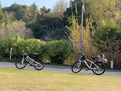 -昆山城市生态森林公园