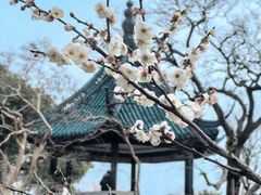 -无锡梅园公园