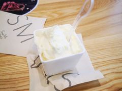 -野人先生现做冰淇淋(北京环宇荟店)