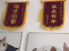 -爱侣宠医·鹦鹉专科·小型哺乳类·异宠专科(灵石路店)