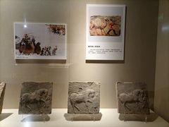-张掖市博物馆