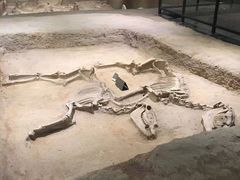 -洛阳周王城天子驾六博物馆