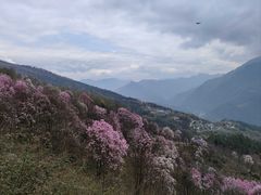 -九皇山景区