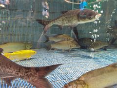 -顺风山庄(水濂山店)