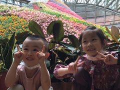 -花之城