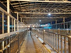 -武汉关码头(轮渡站)