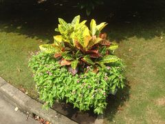 iphone_upload_pic-上海虹桥迎宾馆