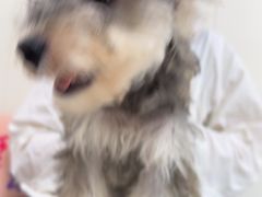-美联众合动物医院·24h京西诊疗中心