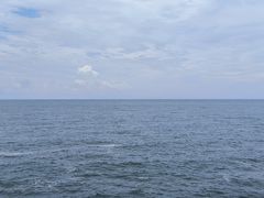 -广东惠东海龟国家级自然保护区