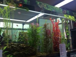 点击看大图 小左美发(南京东路店)-小左美发