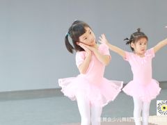 -星舞宝贝少儿舞蹈艺术(天山西路店)