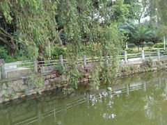 -人民公园(罗湖区)