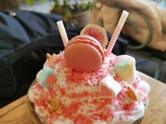 -粉灯牛腩牛杂煲·鸡煲(双井店)