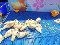 -金茂览秀城