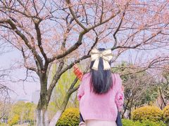 -常州大剧院保利影城