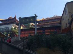 -东莞市大岭山森林公园