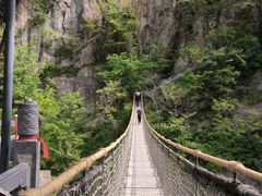 -洛阳白云山景区