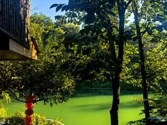 -仙店农庄(湖景农庄餐厅)