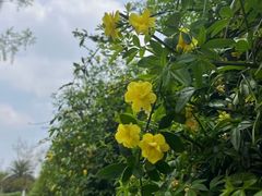 -府河摄影公园