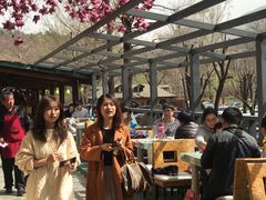 -北京水岸山吧度假村(雁栖镇店)