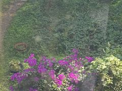 -黔灵山公园