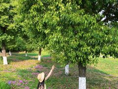 -白鹭湾湿地公园