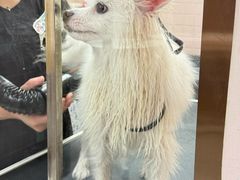 -FAELING PETS美天灵宠物(富力广场店)