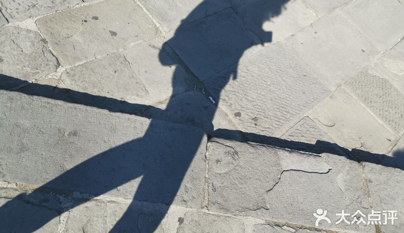 Day 8：比萨魅影，是热昏出换药