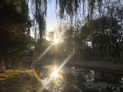 -长白岛森林公园